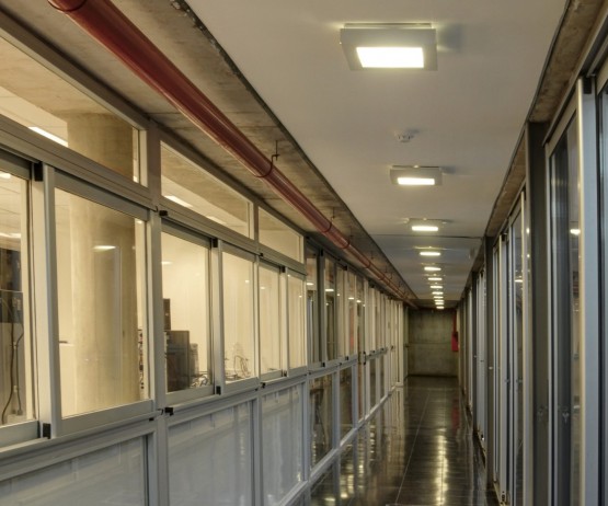 Lucciola | Plafones y Colgantes